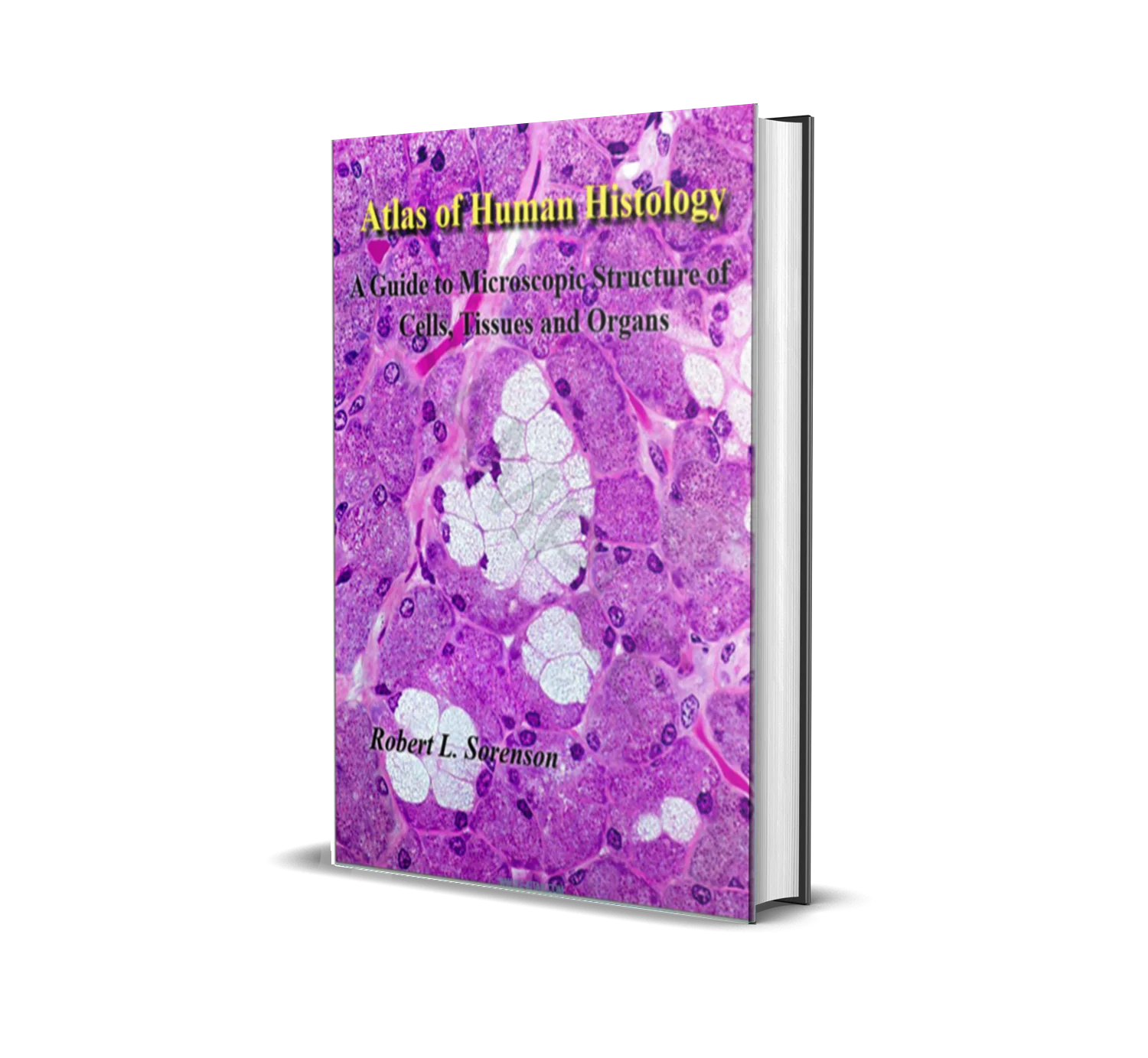 Atlas Of Human Histology: A Guide To Microscopic Structure Of Cells ...