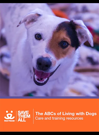 ABCs of Living with Dogs